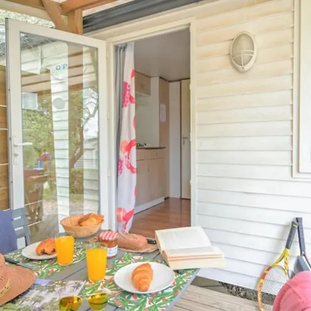 Zecamping 3 étoiles Familial Dog Friendly Piscine Et Soirées Animées Sussargues