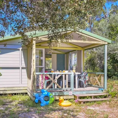 Zecamping 3 étoiles Familial Dog Friendly Piscine Et Soirées Animées Sussargues