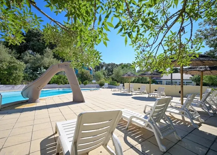 Zecamping 3 Familial Dog Friendly Piscine Et Soirees Animees Camping 3*