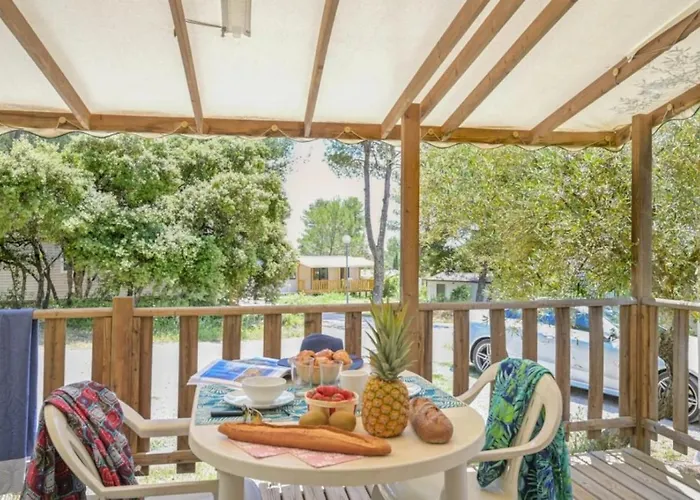 Camping Zecamping 3 Familial Dog Friendly Piscine Et Soirees Animees