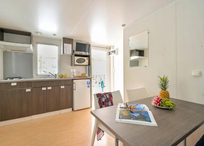 Zecamping 3 Familial Dog Friendly Piscine Et Soirees Animees 3*