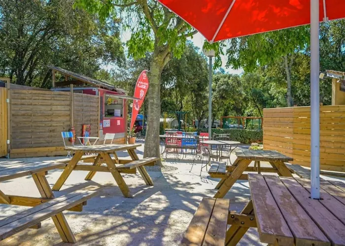 Camping Zecamping 3 Familial Dog Friendly Piscine Et Soirees Animees