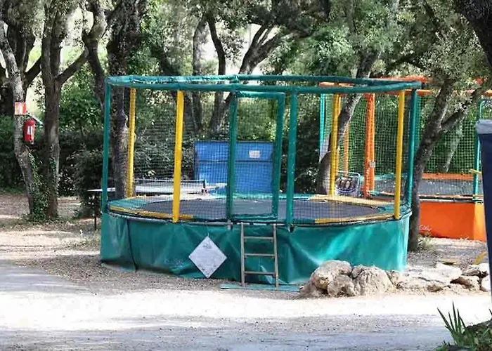 Zecamping 3 Familial Dog Friendly Piscine Et Soirees Animees Camping 3*