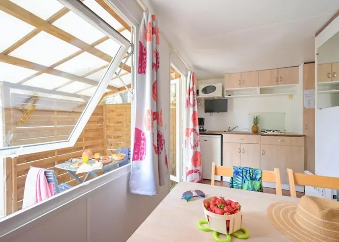 Camping Zecamping 3 Familial Dog Friendly Piscine Et Soirees Animees Sussargues