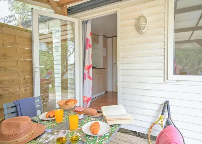 Zecamping 3 Familial Dog Friendly Piscine Et Soirees Animees Sussargues