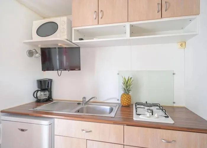 Camping Zecamping 3 Familial Dog Friendly Piscine Et Soirees Animees Sussargues
