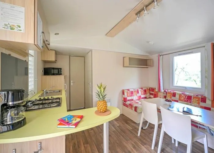 Zecamping 3 Familial Dog Friendly Piscine Et Soirees Animees Camping 3*
