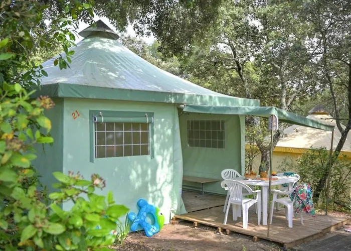 Camping Zecamping 3 Familial Dog Friendly Piscine Et Soirees Animees Sussargues