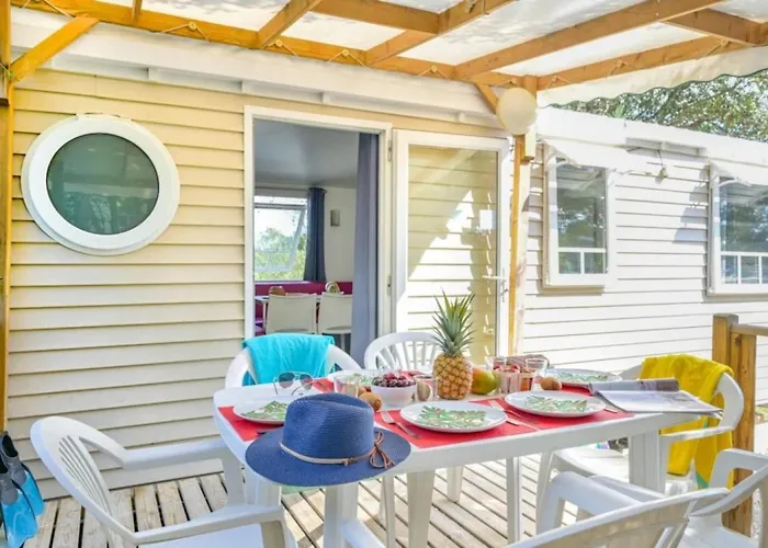 Zecamping 3 Familial Dog Friendly Piscine Et Soirees Animees Sussargues