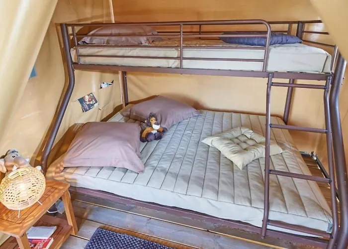 Zecamping 3 Familial Dog Friendly Piscine Et Soirees Animees 3*