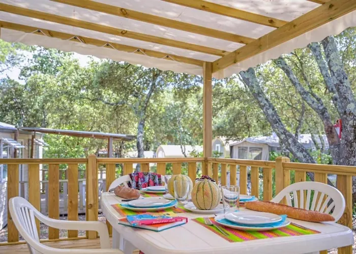 Camping Zecamping 3 Familial Dog Friendly Piscine Et Soirees Animees Sussargues