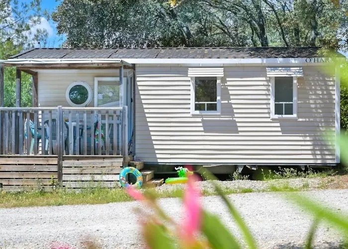 Camping Zecamping 3 Familial Dog Friendly Piscine Et Soirees Animees Sussargues