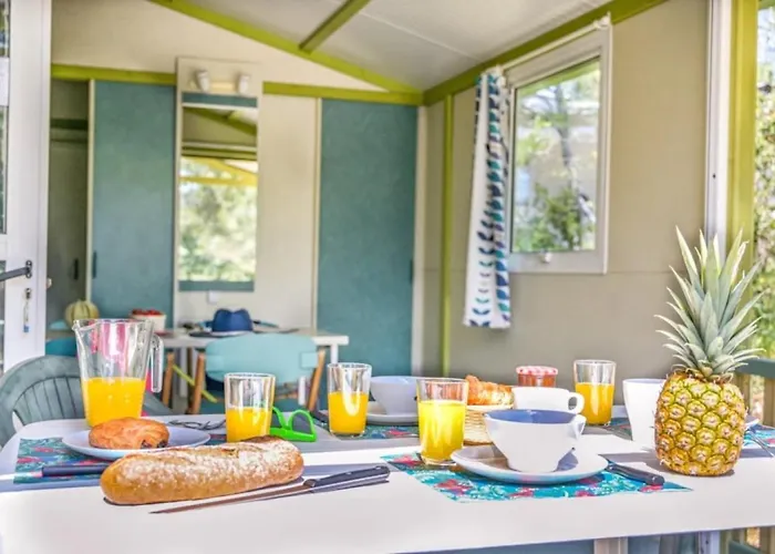 Zecamping 3 Familial Dog Friendly Piscine Et Soirees Animees Sussargues